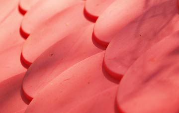 Thatcham plastic roof costs